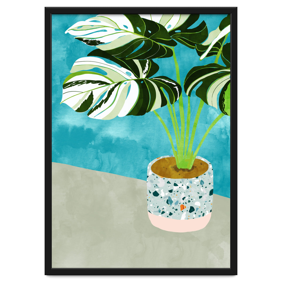 Variegated Monstera