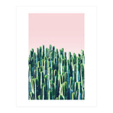 Cactus & Sunset II (Print Only) thumbnail