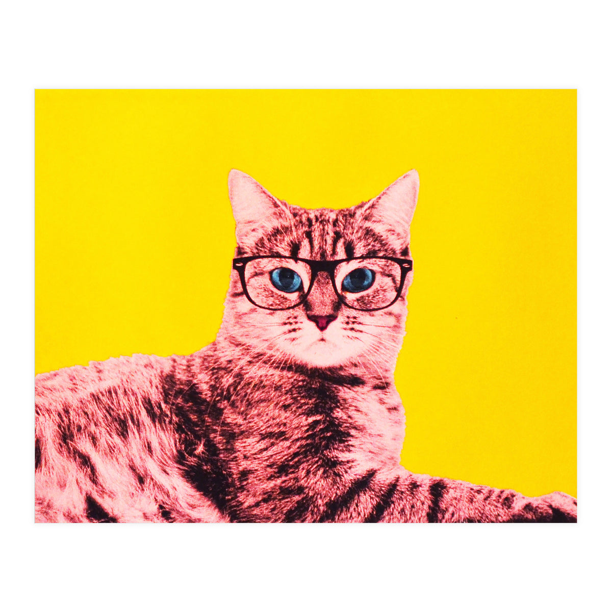 Life In Technicolor (Print Only)