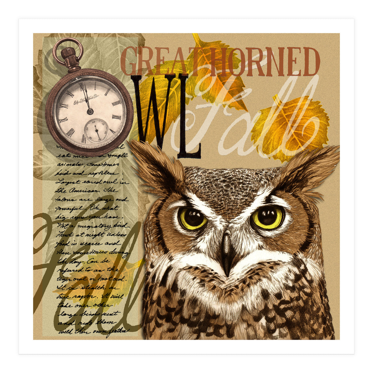 Great Horned Owl (Print Only)