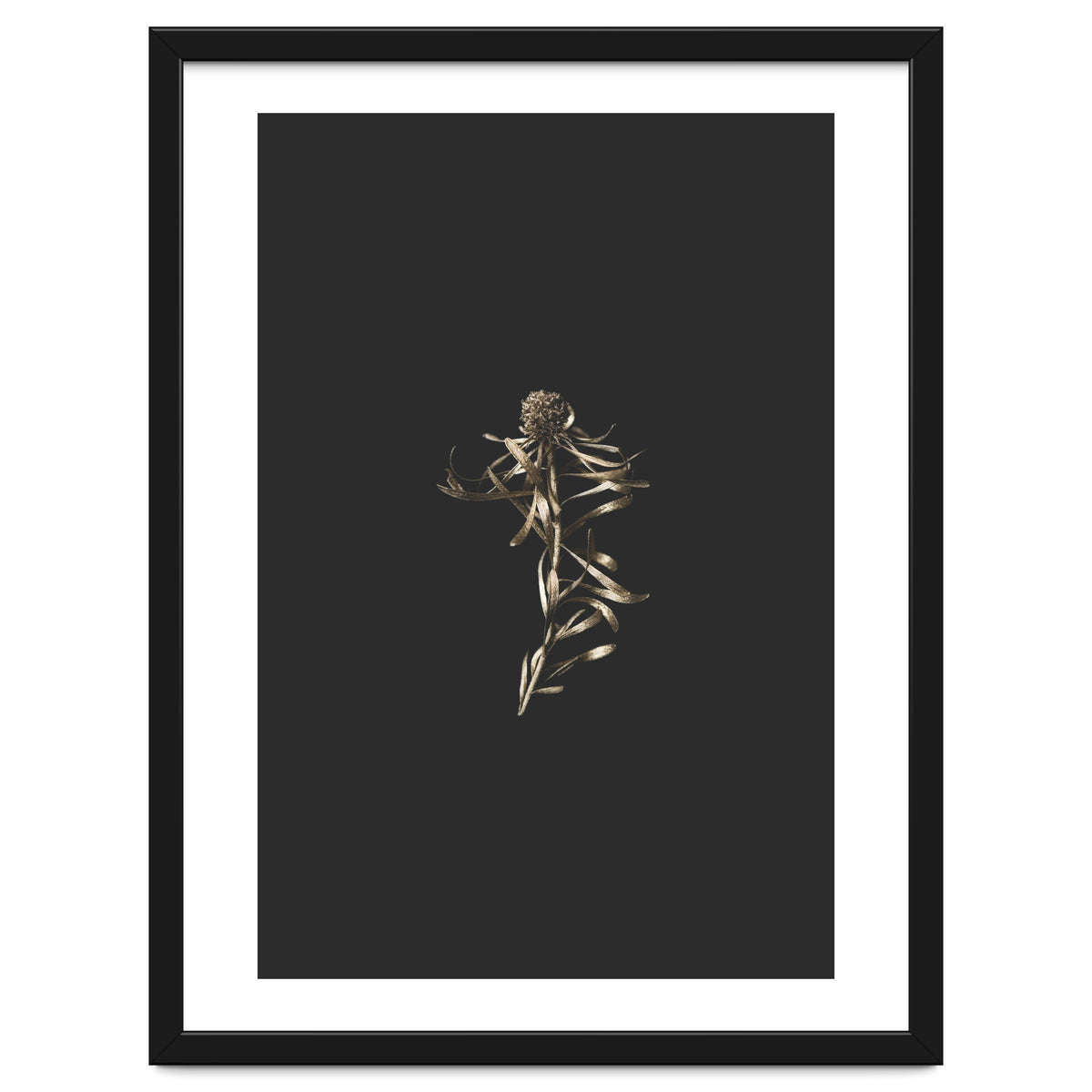 Magical Golden Fynbos