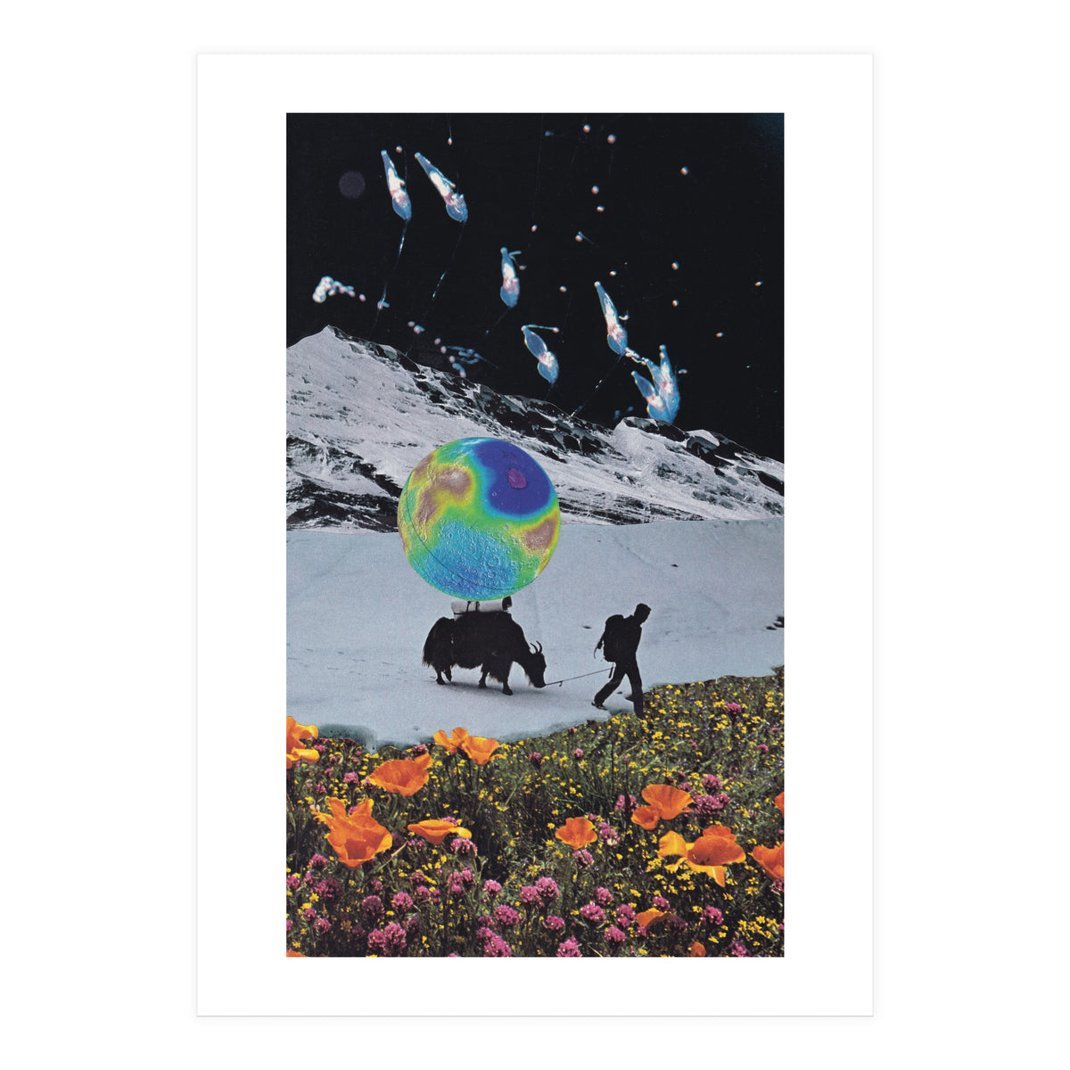 The Last Ice Age (Print Only)