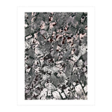 Fashion II (Print Only) thumbnail