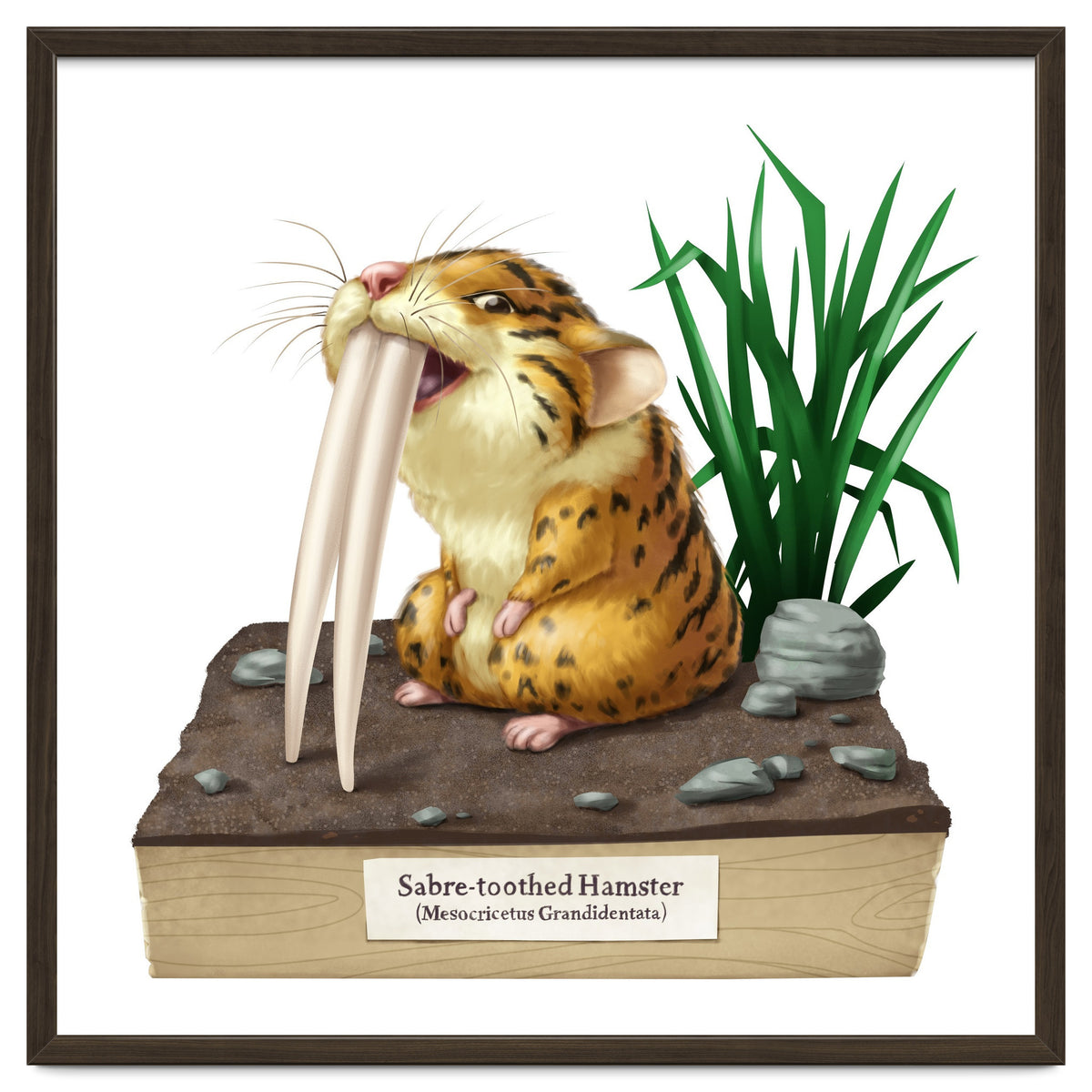 Saber-toothed Hamster