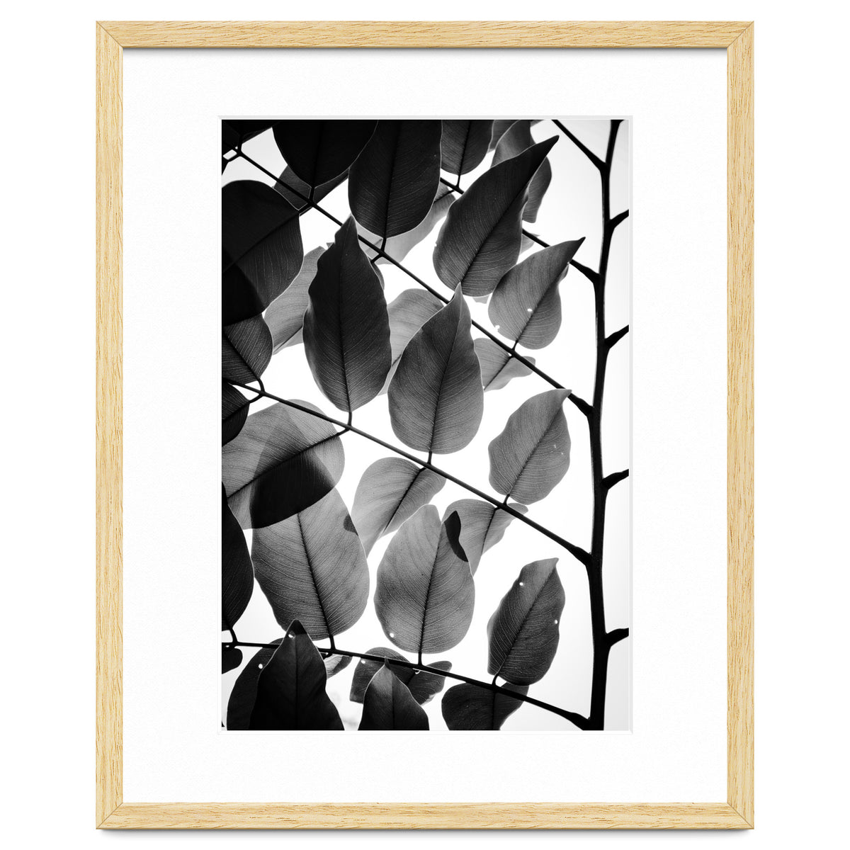 Branches and Leaves II