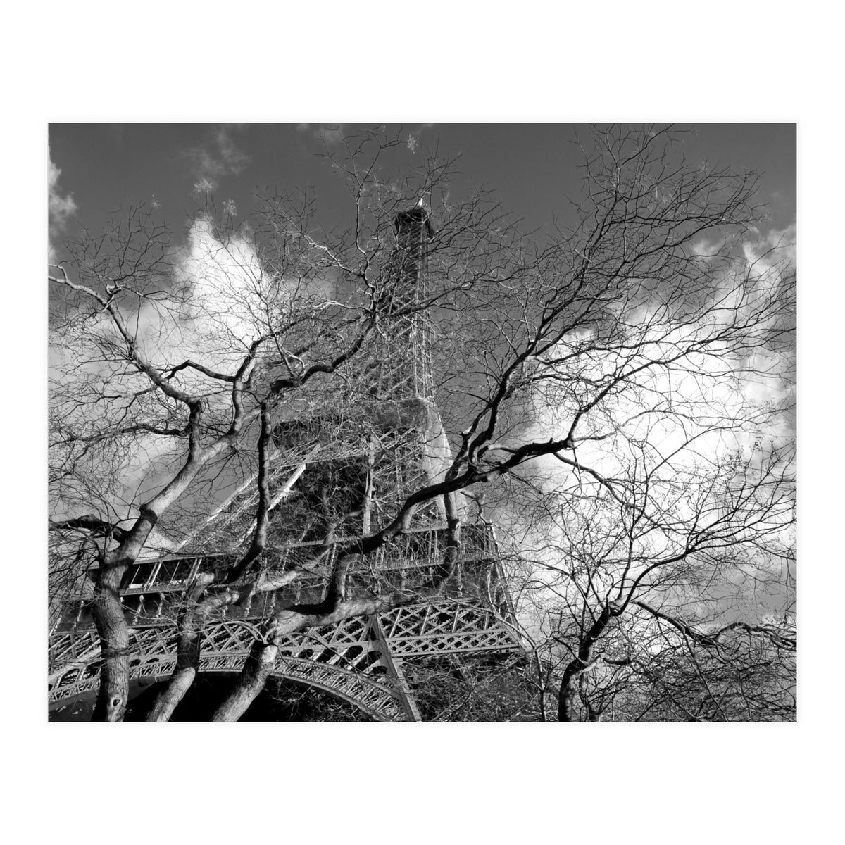 Eiffel Tower, Paris (Print Only)