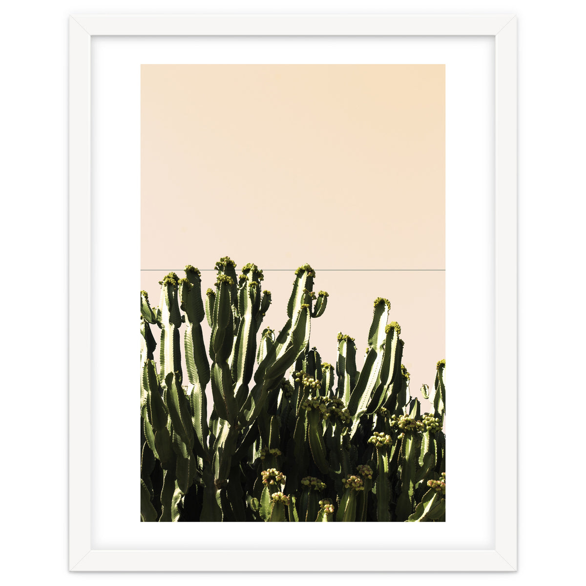 Cactus Vertical Color