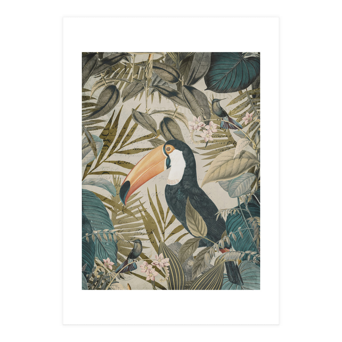 Jungle Toucan (Print Only)