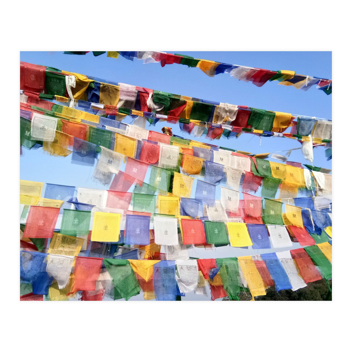 Prayer Flags  - Series 1 (Print Only)