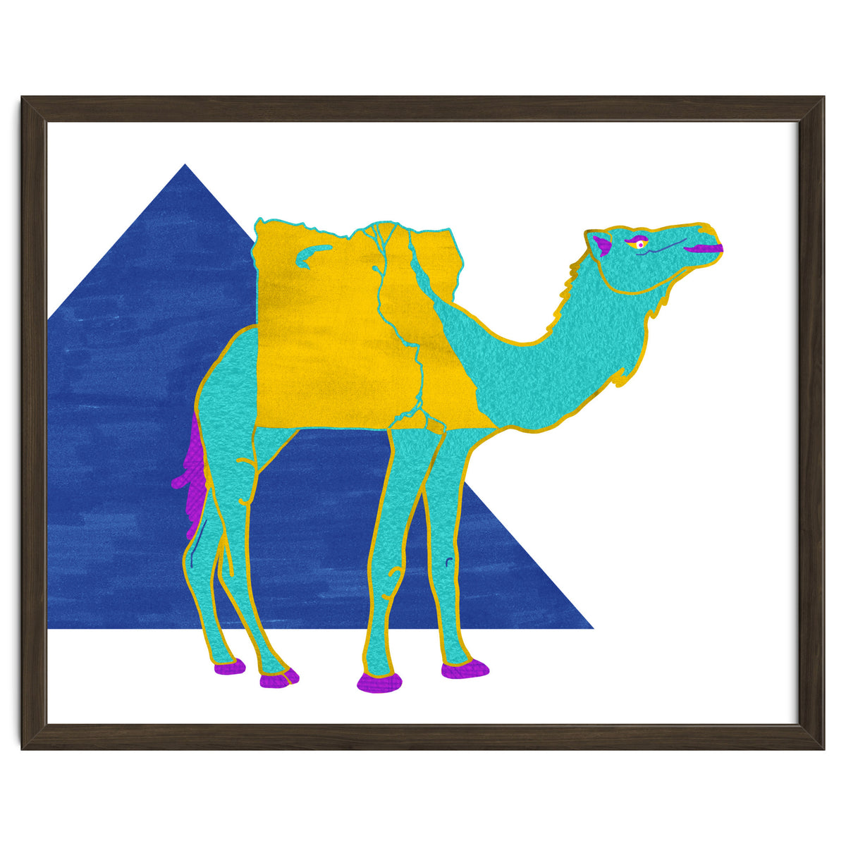Egyptian Dromedary