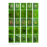 abcde (Print Only) thumbnail