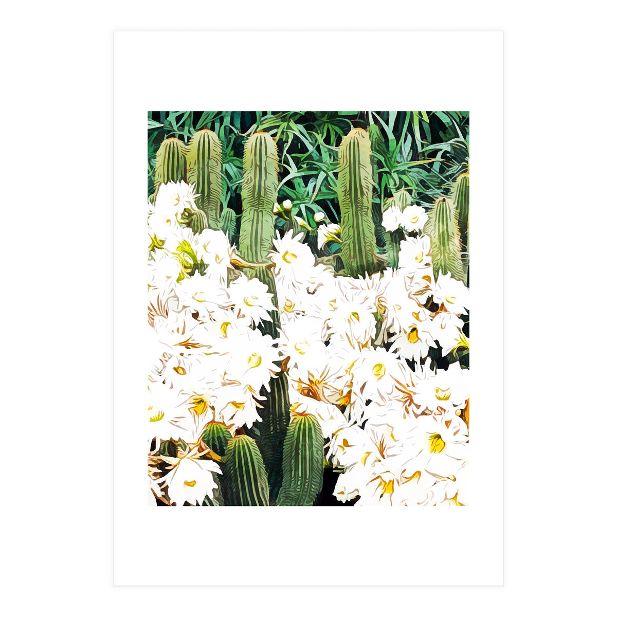 Cactus & Bloom (Print Only)