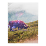 Space Cow Series I (Print Only) thumbnail