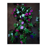 Beautiful Flower Garden (Print Only) thumbnail