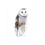 Owl (Print Only) thumbnail