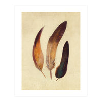Three Feathers (Print Only)