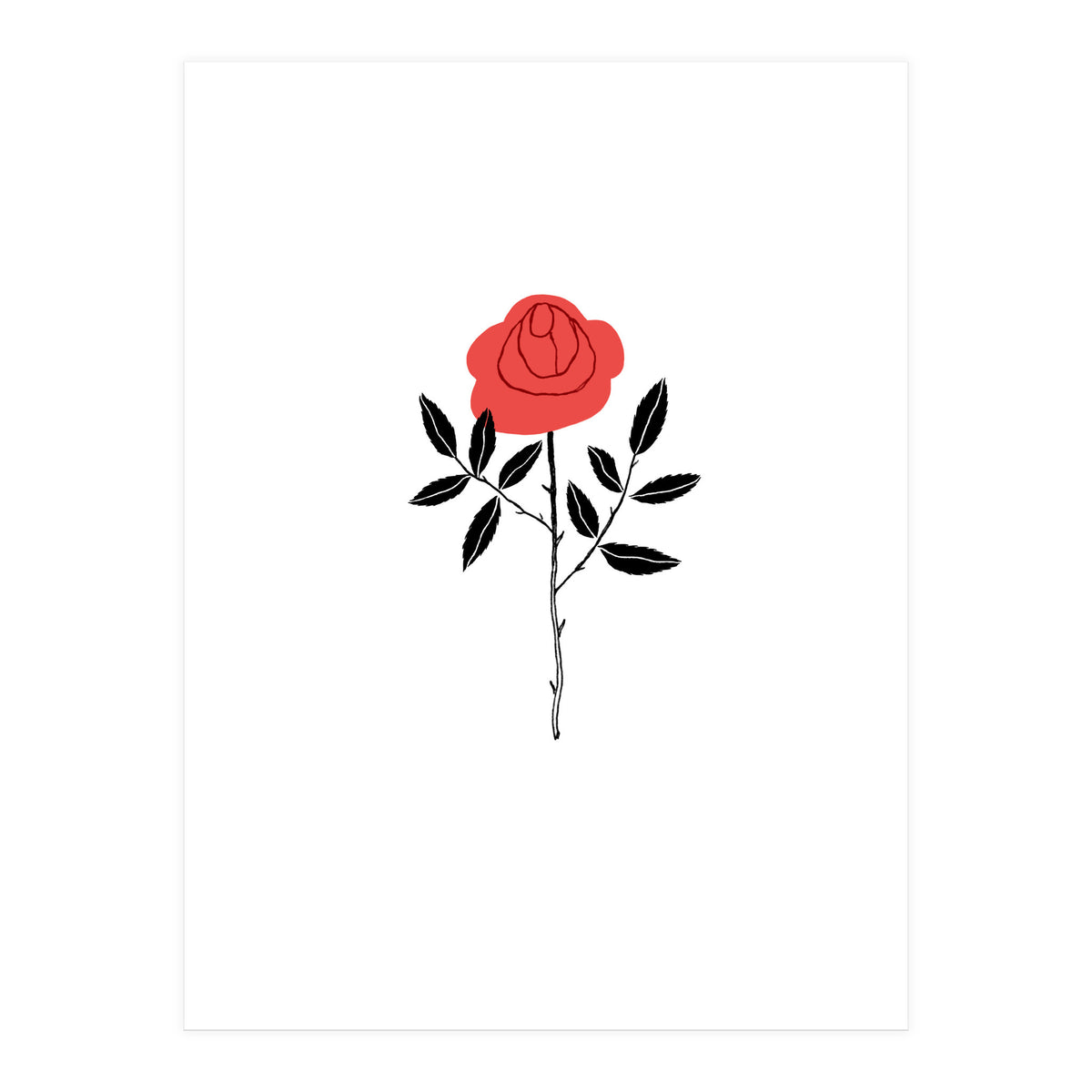 Rose (Print Only)
