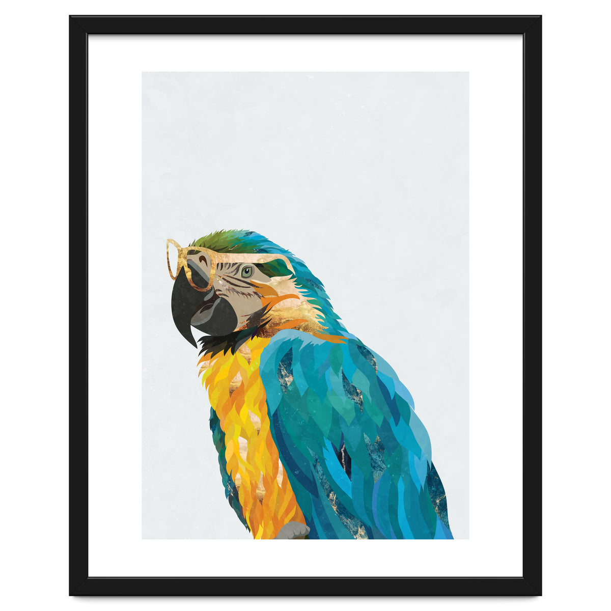 Macaw Portrait wearing gold glasses