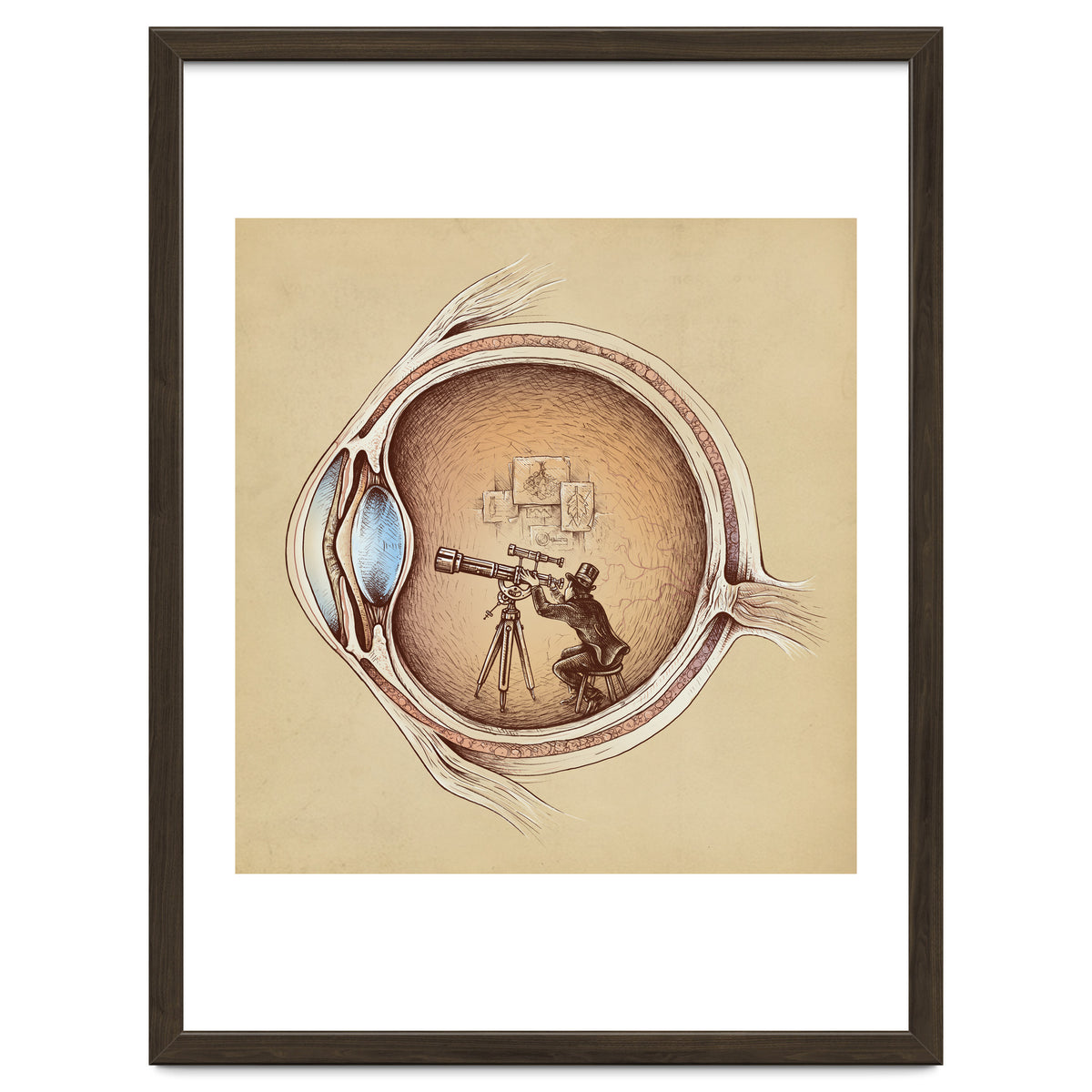 Extraordinary Observer