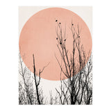Sunset Dreams Rose (Print Only) thumbnail