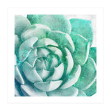 Rough Beauty 1 (Print Only) thumbnail