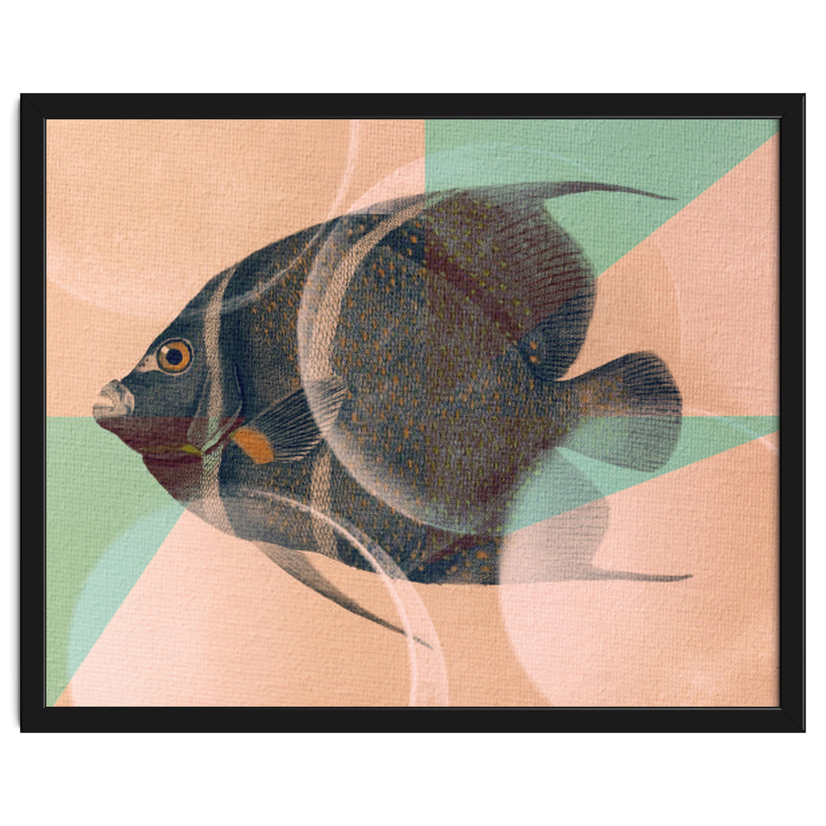 Fish Between Circles 2