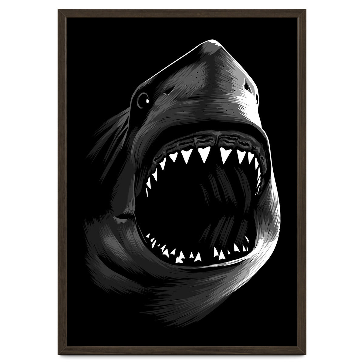 Megalodon