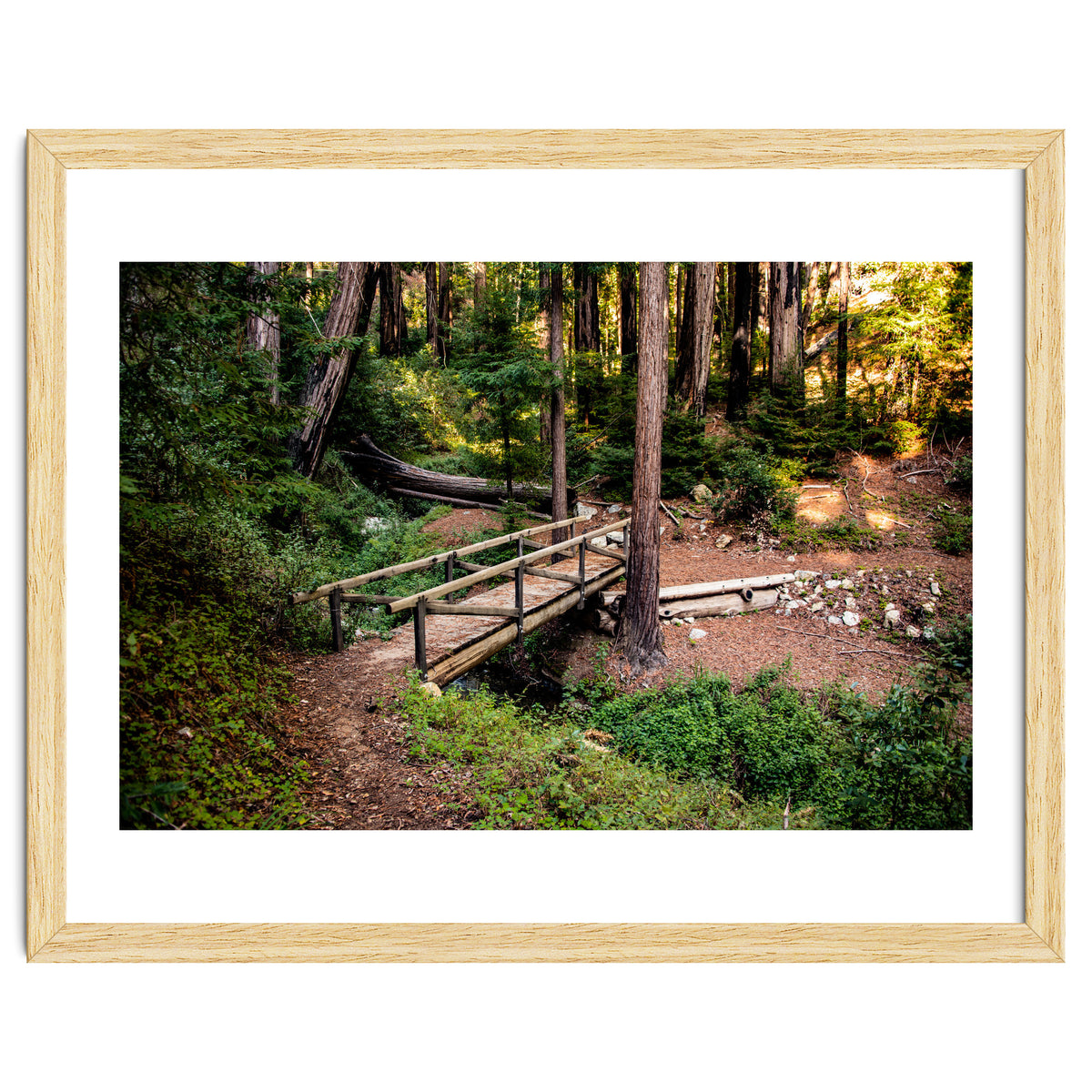 Ewoldsen Loop Bridge