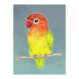 Cute yellow Fischer's lovebird (Print Only) thumbnail