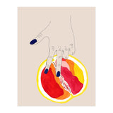 Grapefruit (Print Only) thumbnail