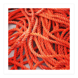 Orange ropes (Print Only) thumbnail