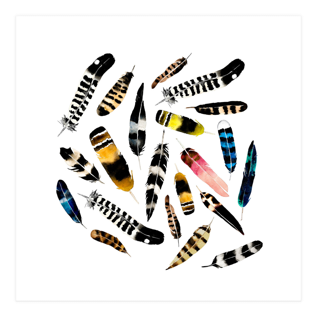 Feather Fusion  (Print Only)