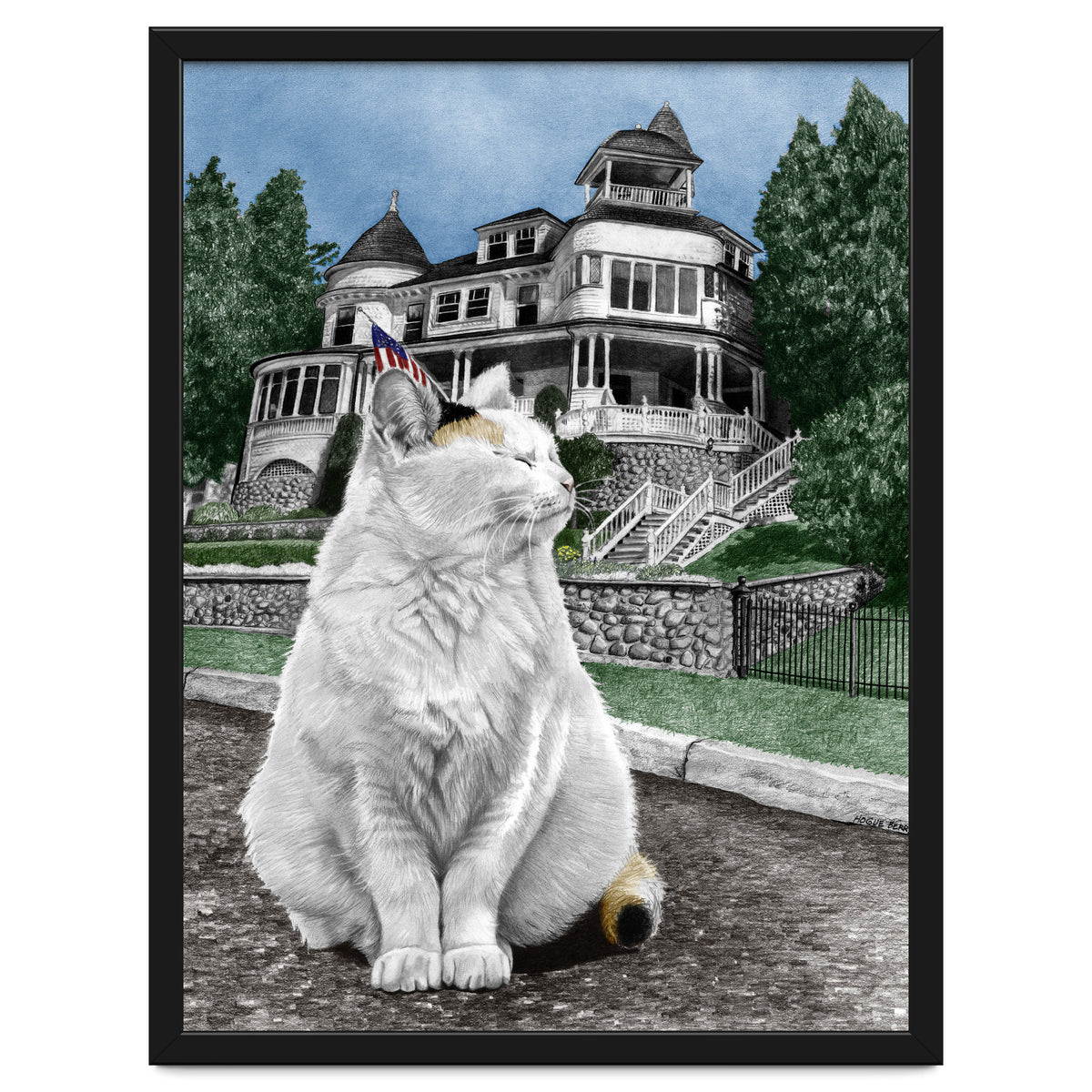 Mackinac Island Cat