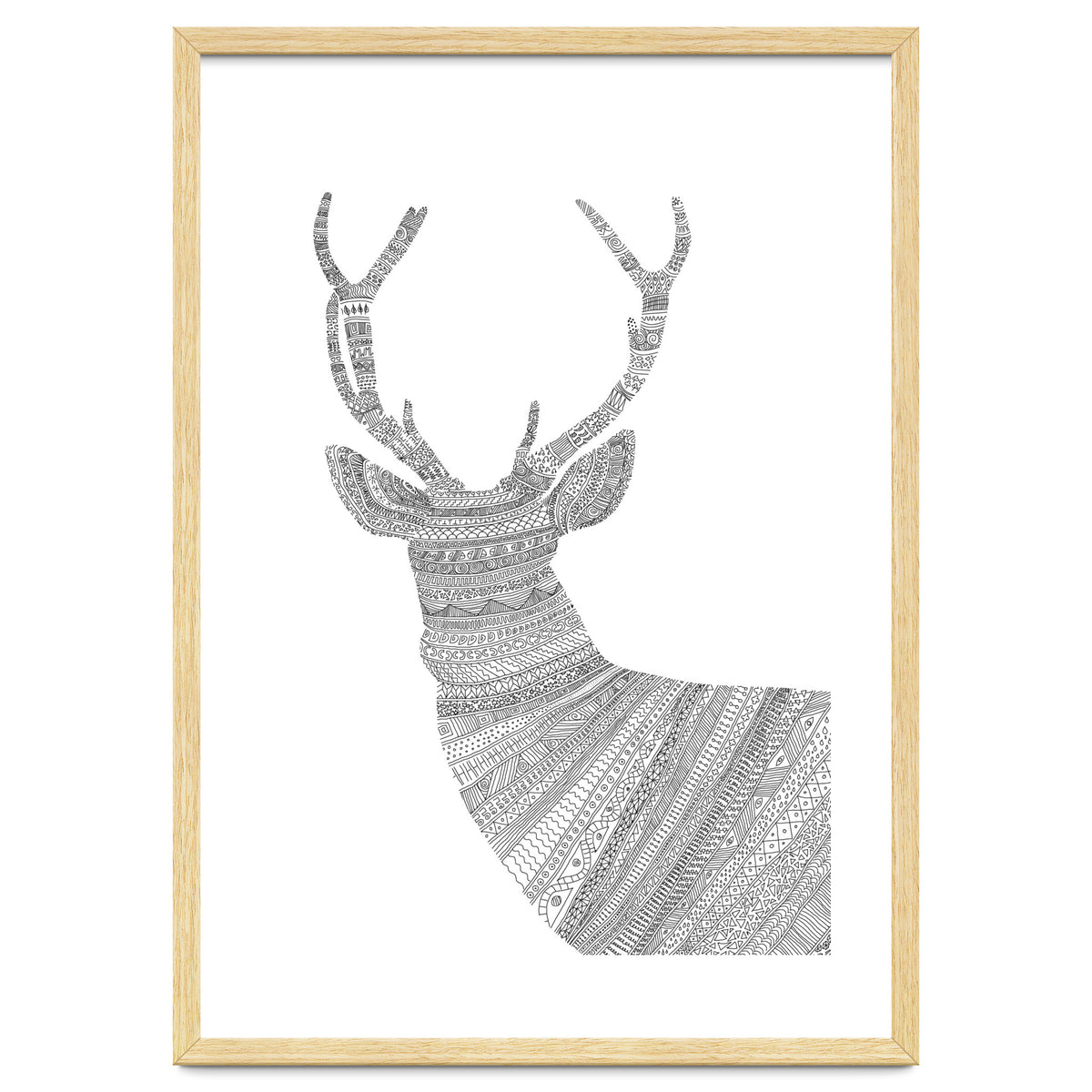 Stag 2
