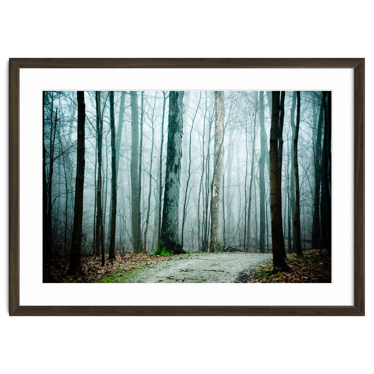 Gather Up Your Dreams