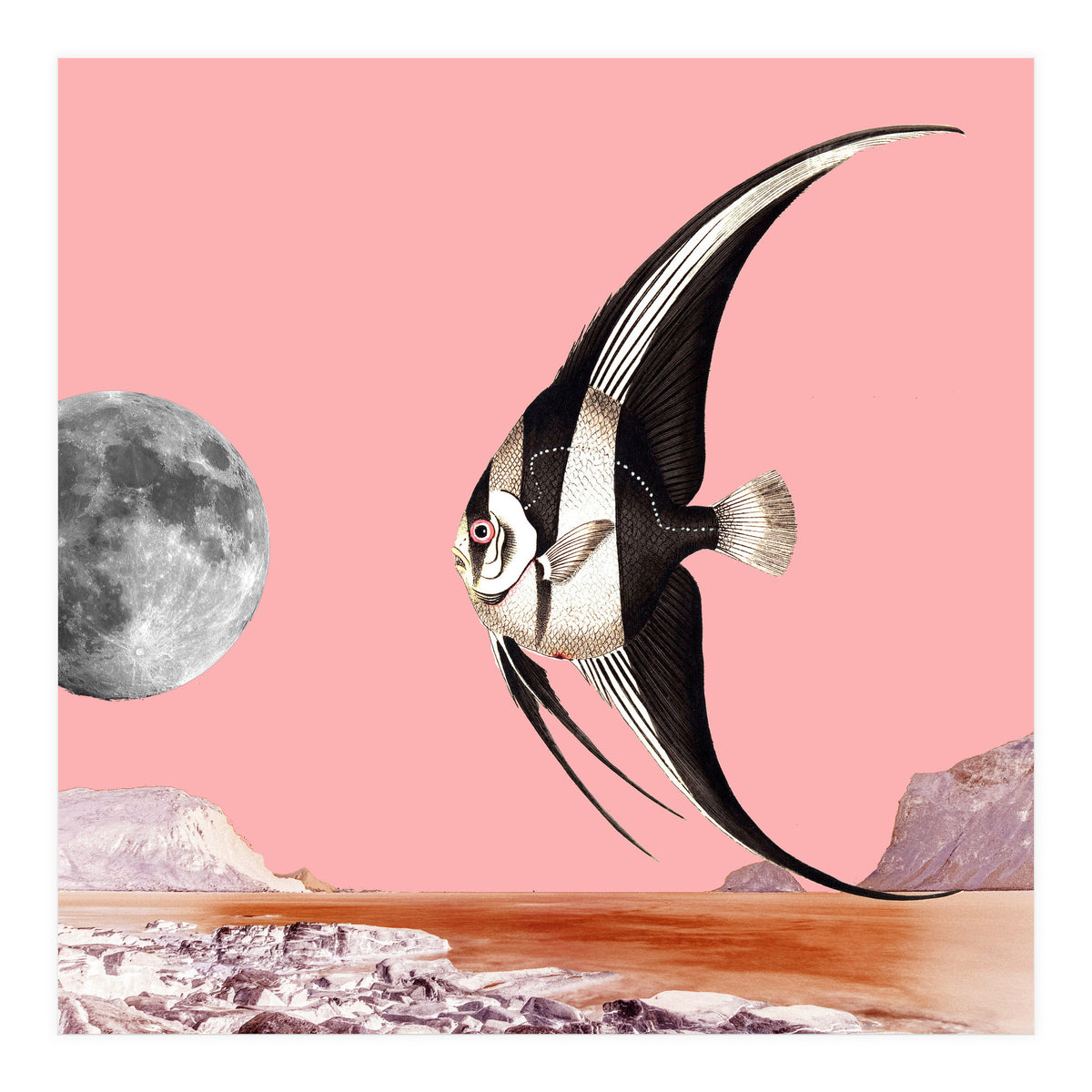 Plenty Of Fish In The Sea Pink (Print Only)