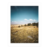 Dartmoor  (Print Only) thumbnail
