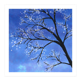 Tree in bloom  (Print Only) thumbnail