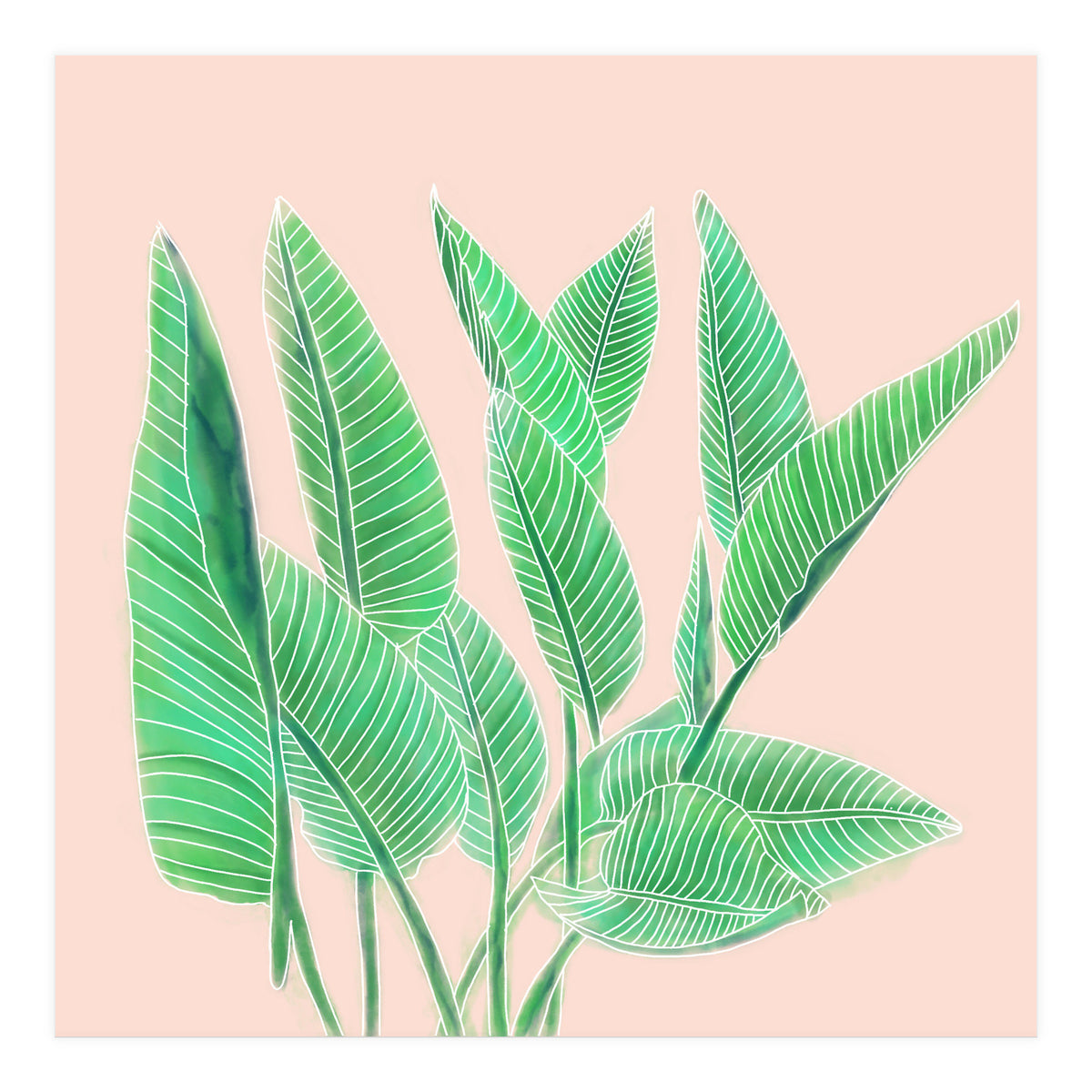 Modern Hand Painted Tropical Green Watercolor Leaf Bird Of Paradise On Pastel Pink (Print Only)