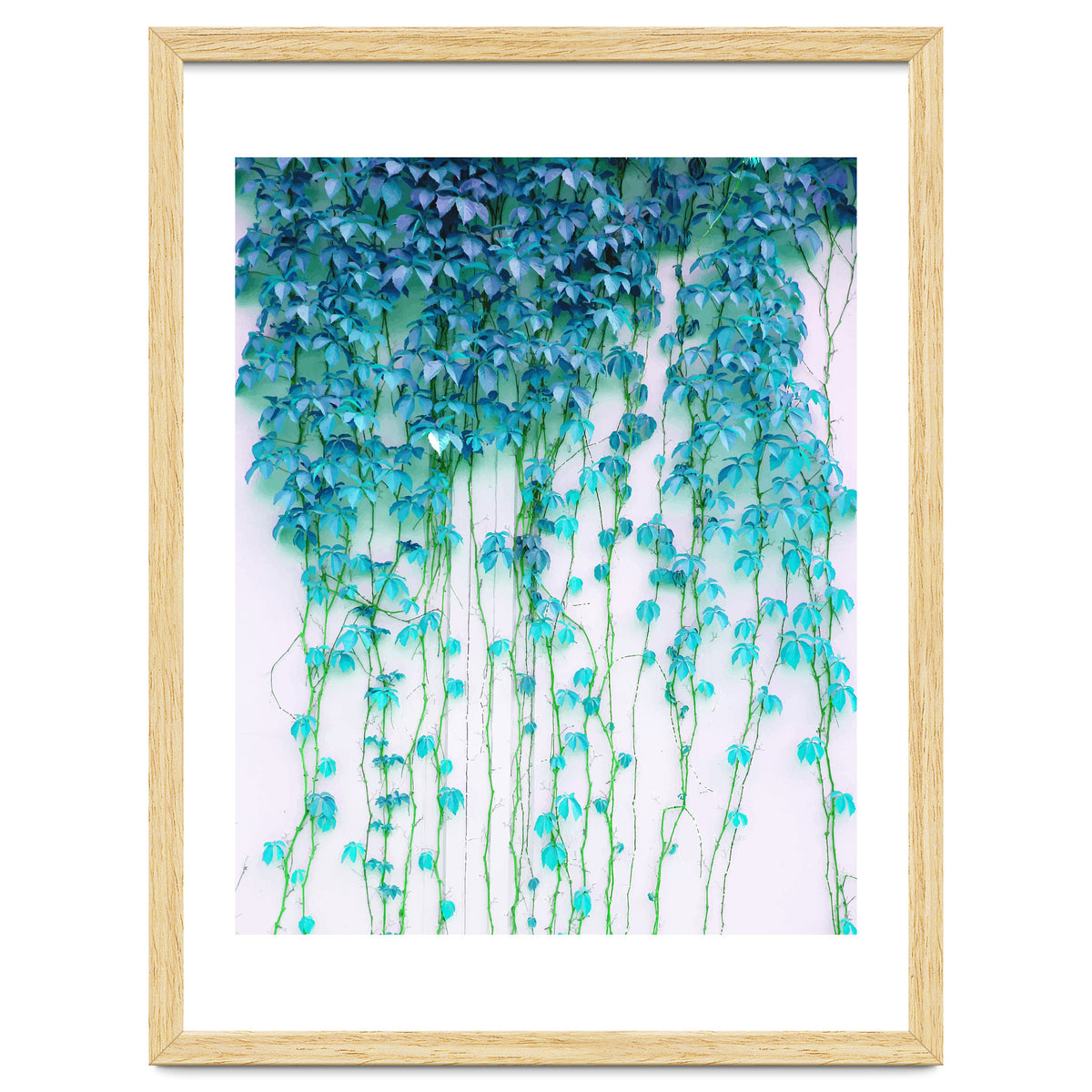 Average Absence, Botanical Minimal Nature Creepers Plants, Tropical Watercolor Bohemian Painting