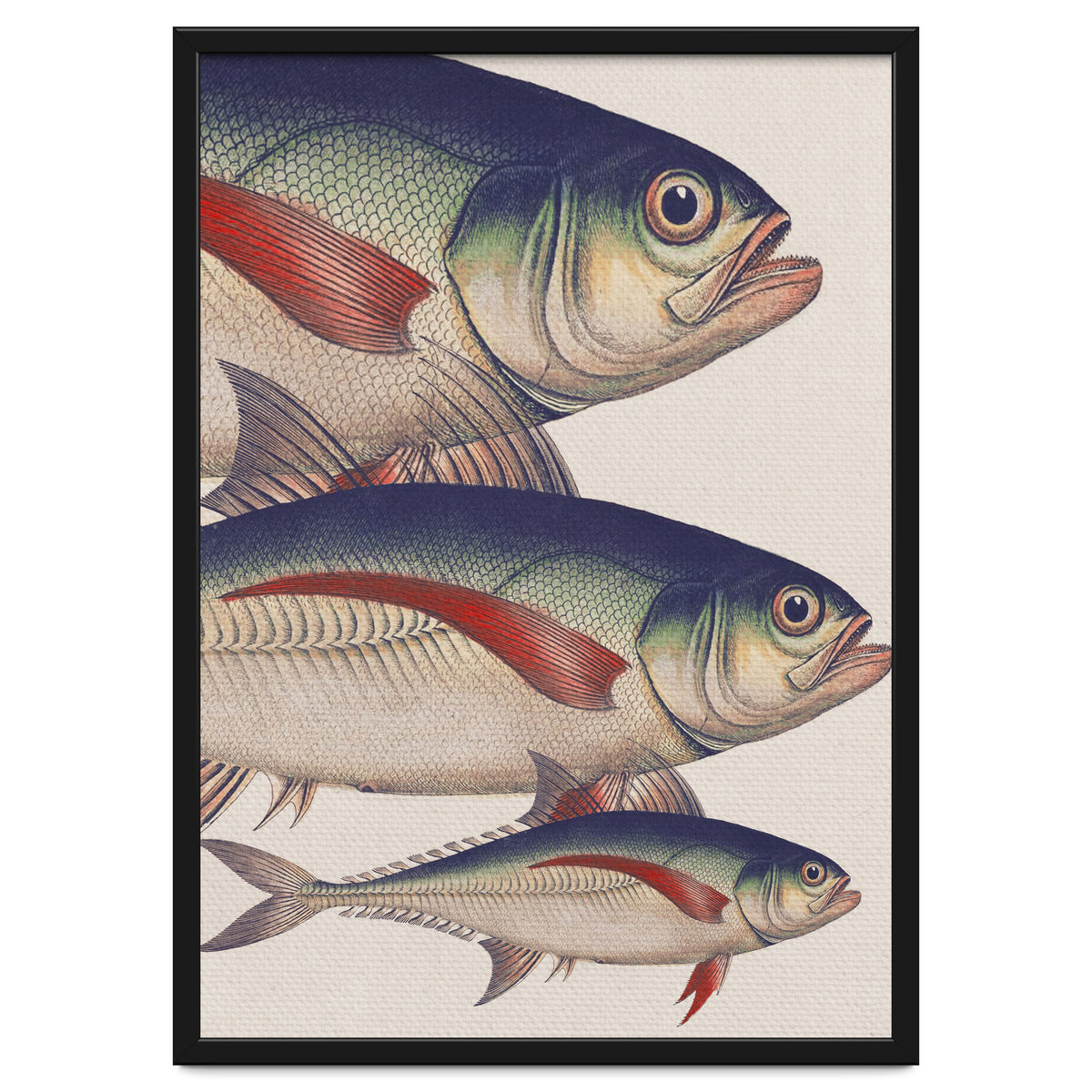 Fish Classic Designs 5