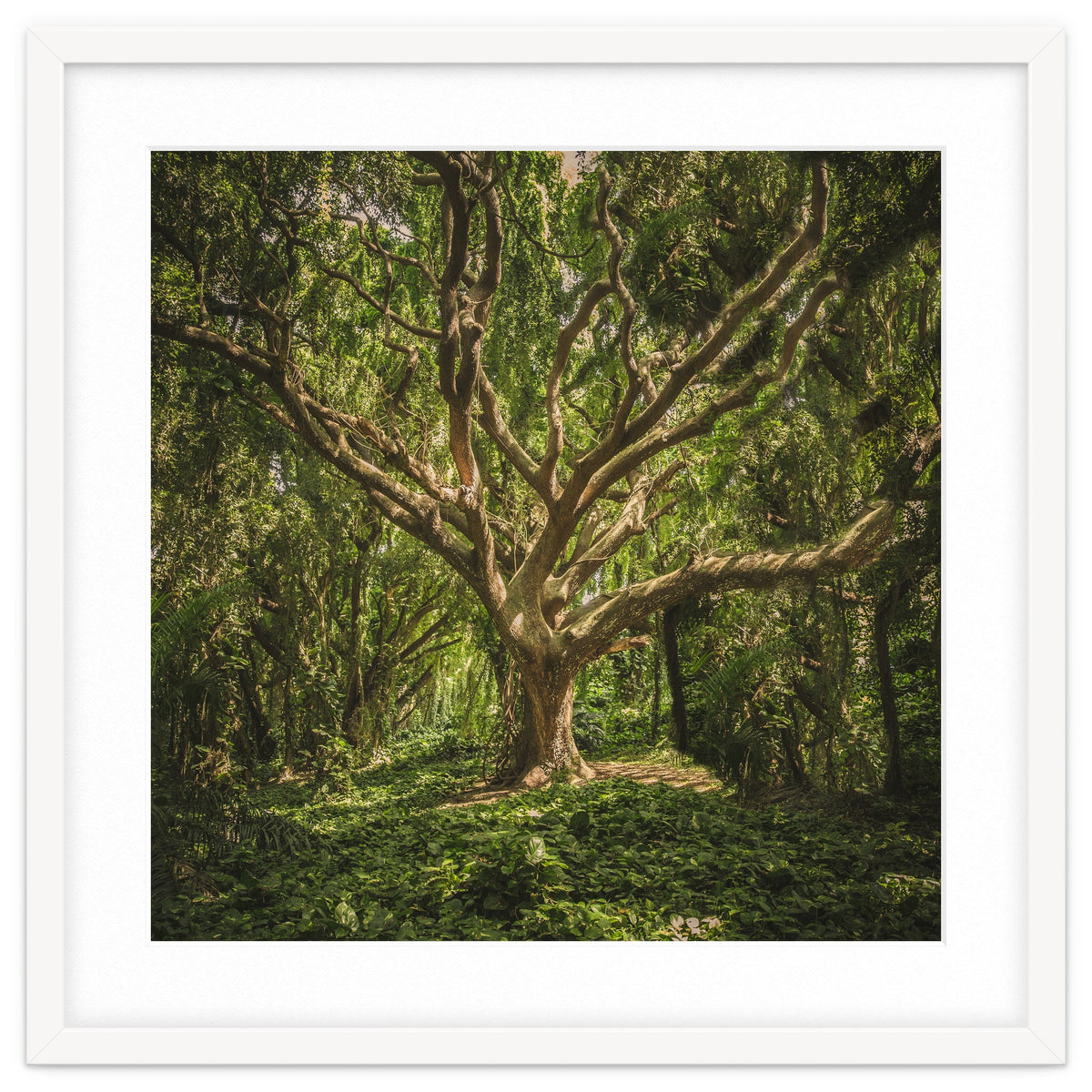 Spirits inside the wood