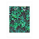 Greener (Print Only) thumbnail