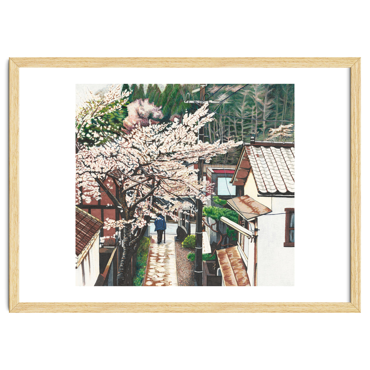 Passing by Cherry Blossoms