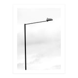 The Street Light (Print Only) thumbnail