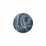 Entity (Print Only) thumbnail