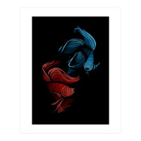 bettas fight (Print Only)