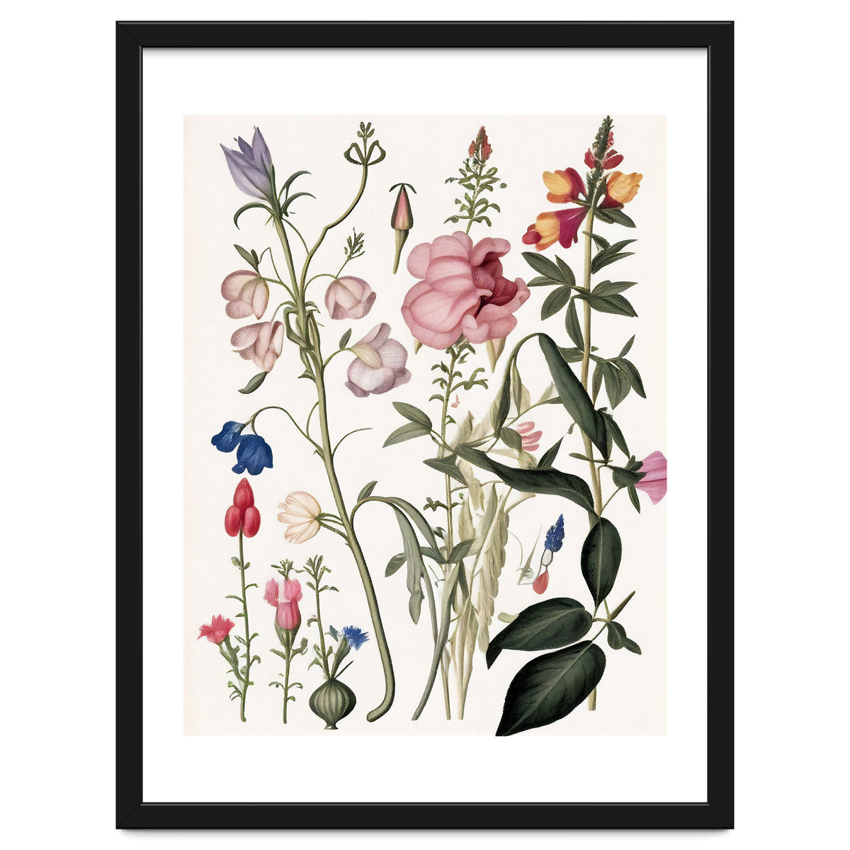 Flowers Botanical Vintage Illustration