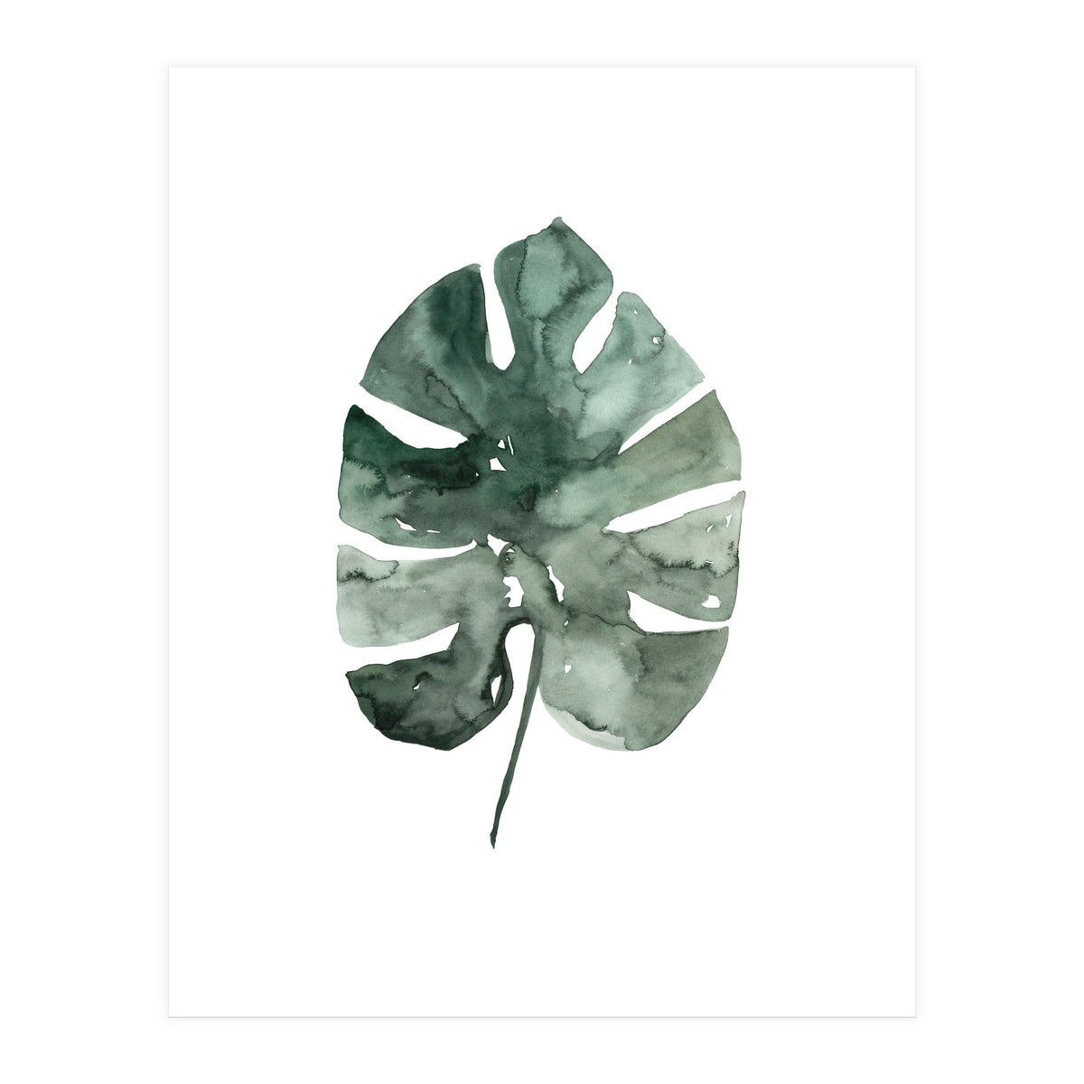 Botanical Illustration Monstera Leaf (Print Only)