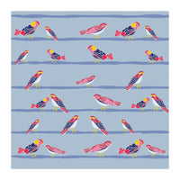 Colorful birds on a wire pattern (Print Only)